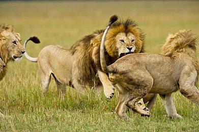 《毁灭战士：黑暗时代》第二个重大更新上线